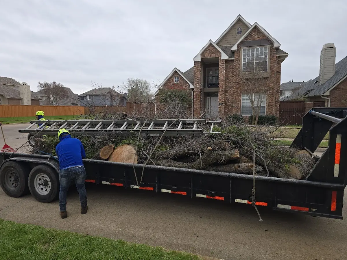 Expert Tree Fertilization with proper safety equipment in Michigamme